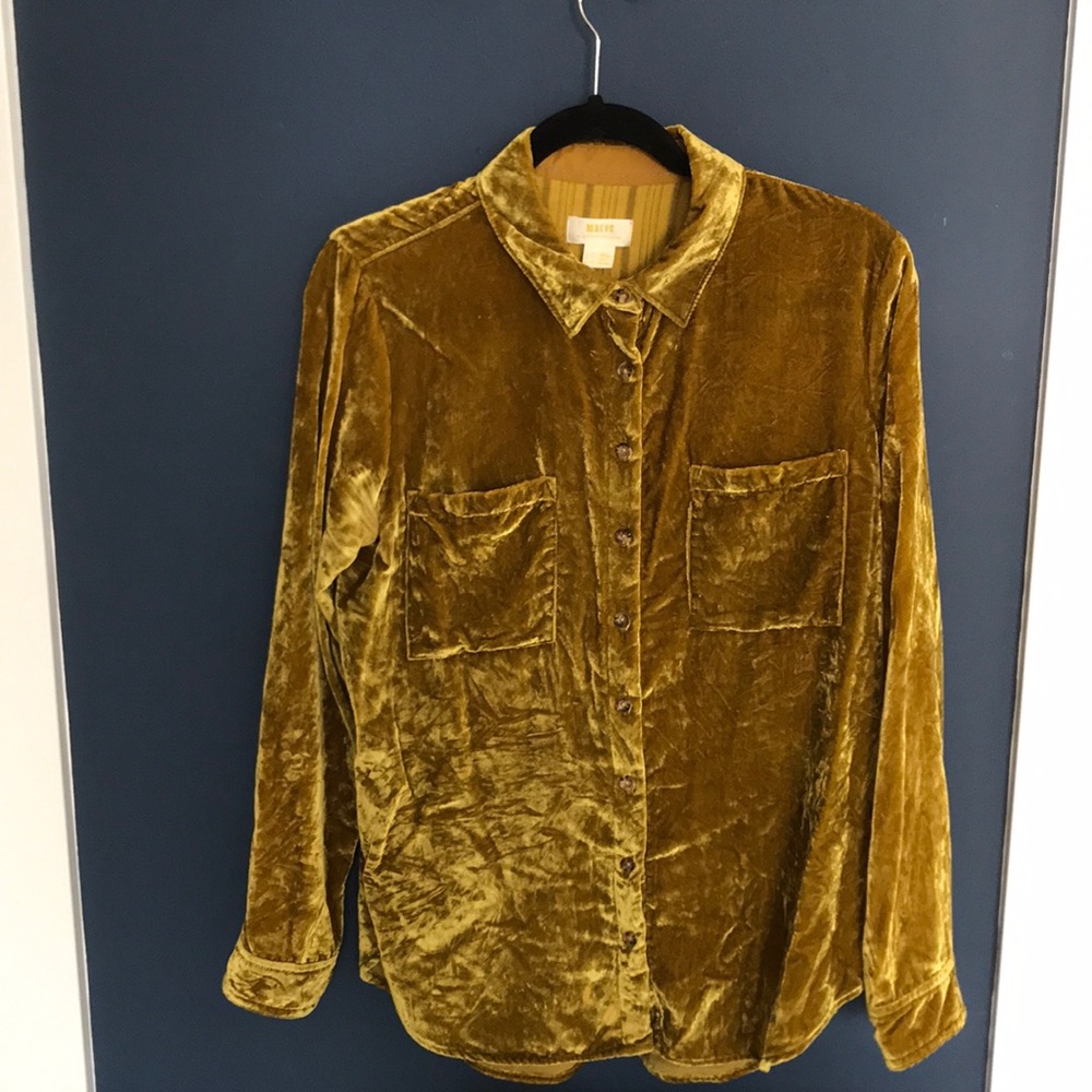 Maeve Karina Velvet Buttondown